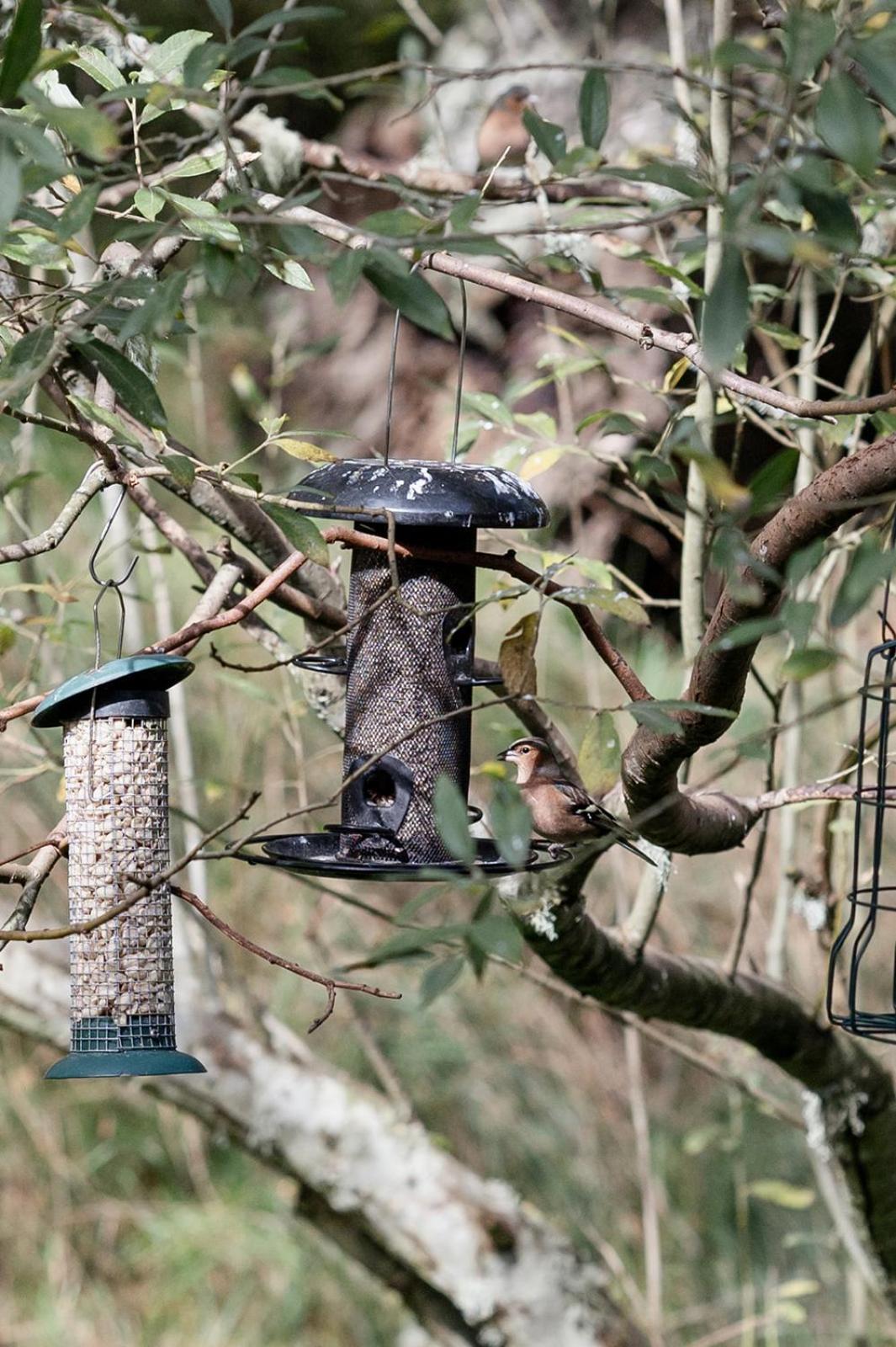 Siskin Guest Suite Kinrara 外观 照片