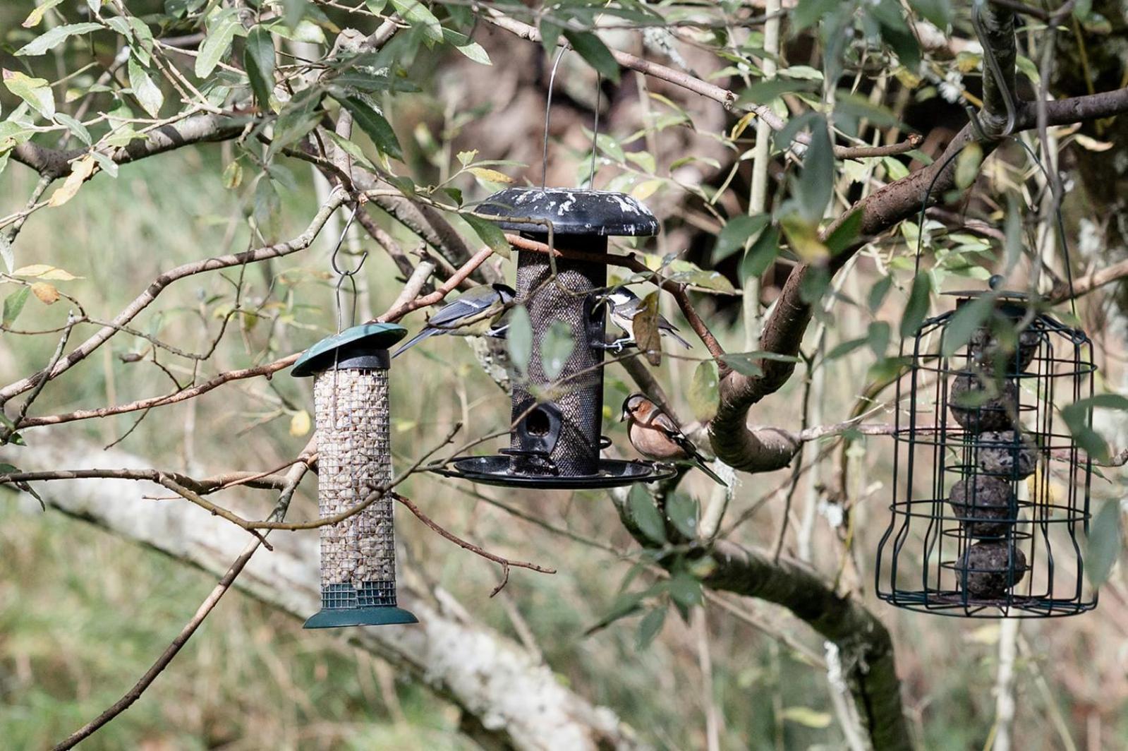 Siskin Guest Suite Kinrara 外观 照片